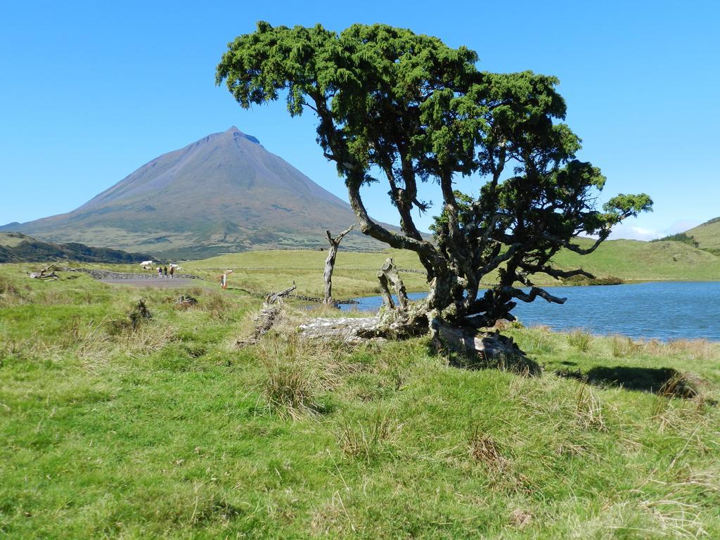Adega Velha Villa Calheta de Nesquim ภายนอก รูปภาพ